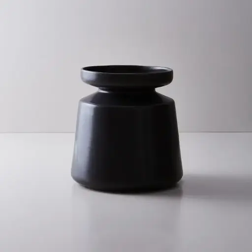 [BAD07NE3377W] JARON SALLY L NEGRO WEB